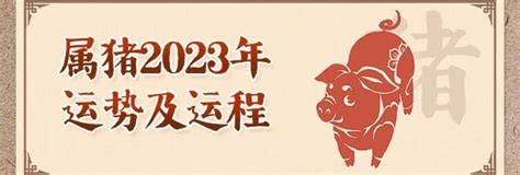 2023虎年運程1986男|1986年属虎人2023年运势及运程男，86年37岁生肖虎。